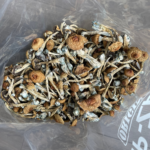 Buy Liberty Cap mushroom in Czechia